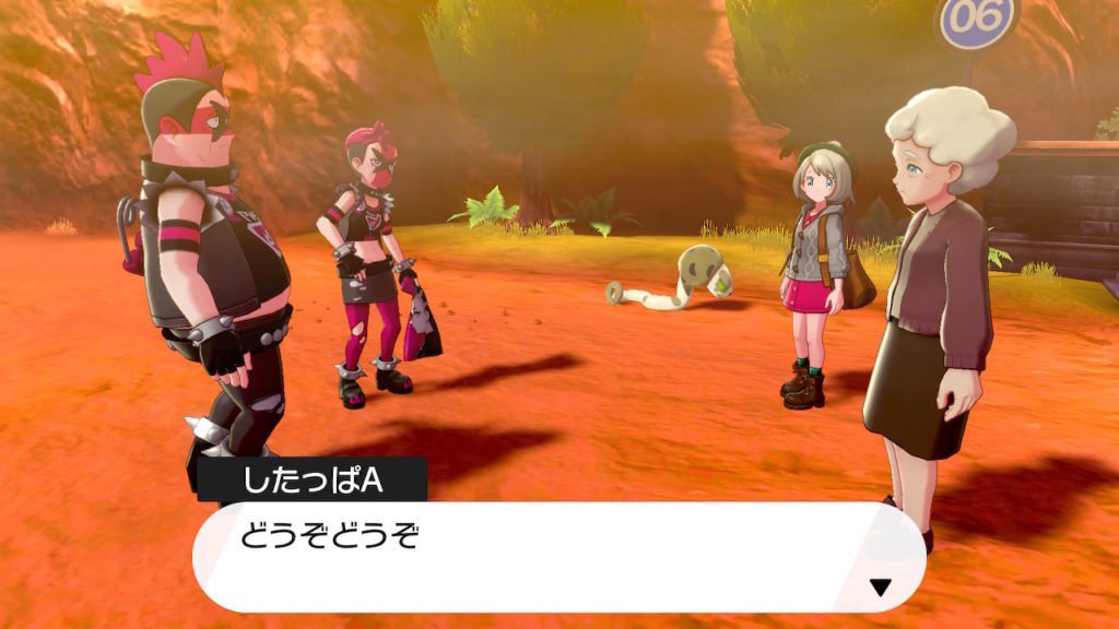 ポケモン剣盾 第１５回攻略 感想 ホップ迷走中 イルの積みゲー消化記録