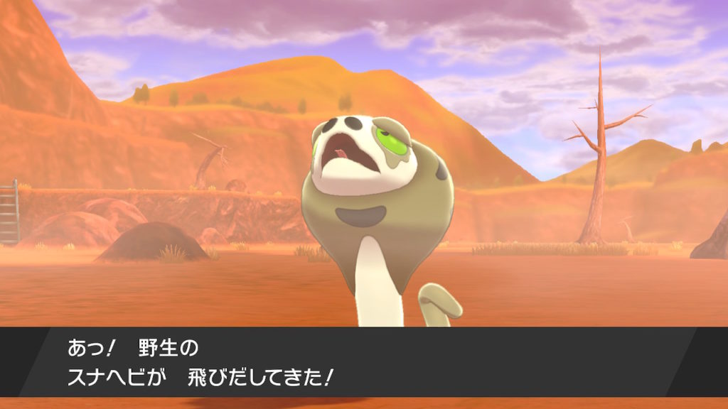 ポケモン剣盾 第１５回攻略 感想 ホップ迷走中 イルの積みゲー消化記録