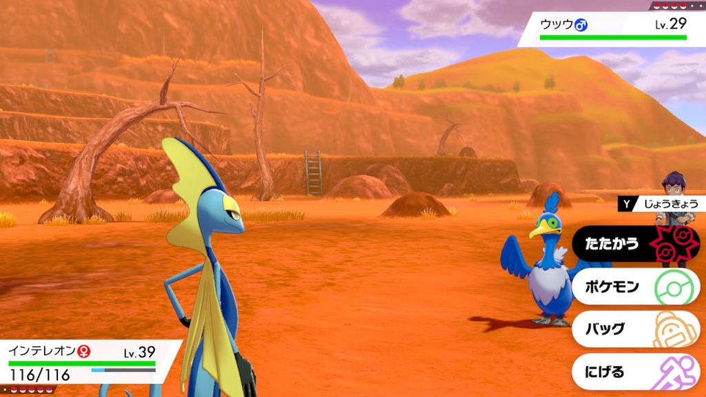 ポケモン剣盾 第１５回攻略 感想 ホップ迷走中 イルの積みゲー消化記録