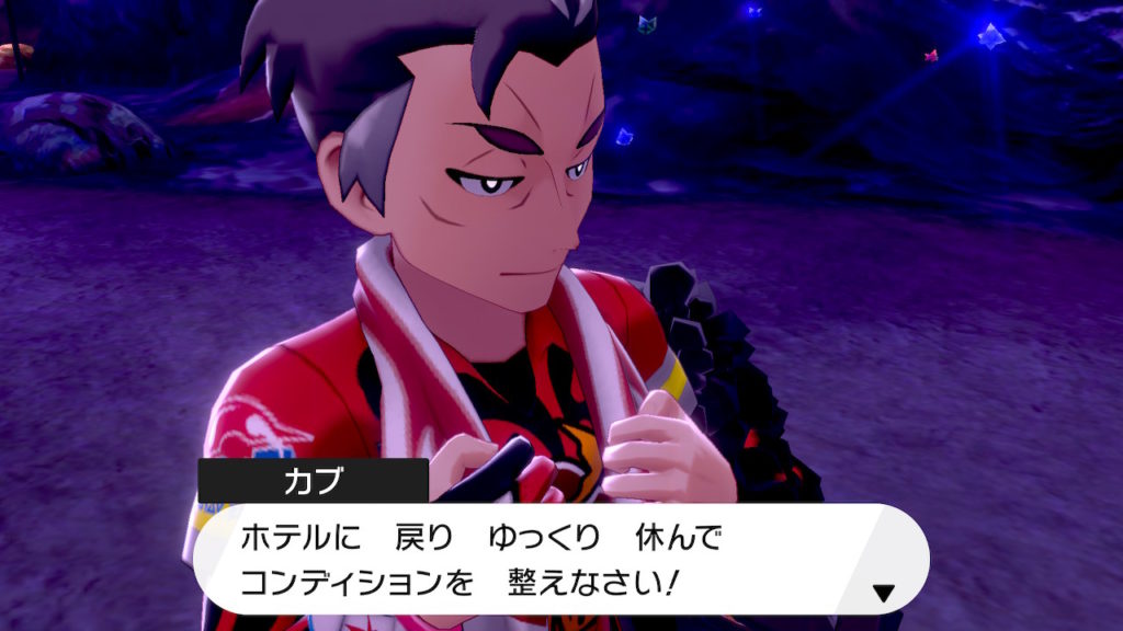 ポケモン剣盾 第１１回攻略 感想 三者三様のライバルたち イルの積みゲー消化記録