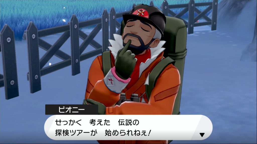 ポケモン剣盾 第４１回攻略 感想 冠の雪原始めます イルの積みゲー消化記録