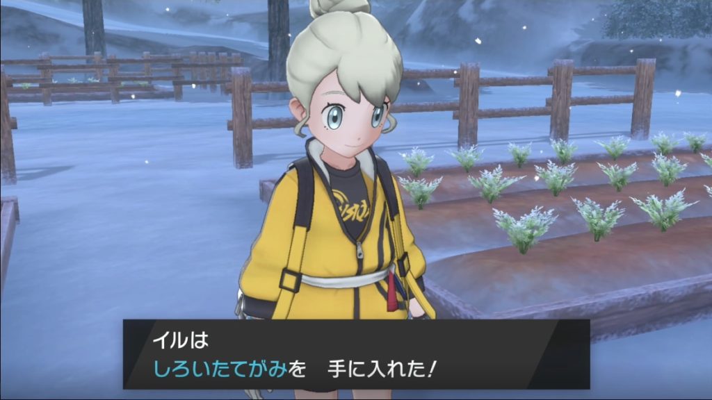 ポケモン剣盾 第４６回攻略 感想 豊穣の王伝説 後編 イルの積みゲー消化記録